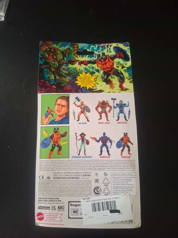 Masters of the Universe Origins Stinkor Mint on Card