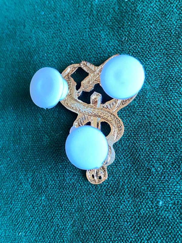 SA MEDICAL SERVICES BI-METAL BREAST BADGE-WORN BY ADMINNN PERSONNEL- 3 PINS