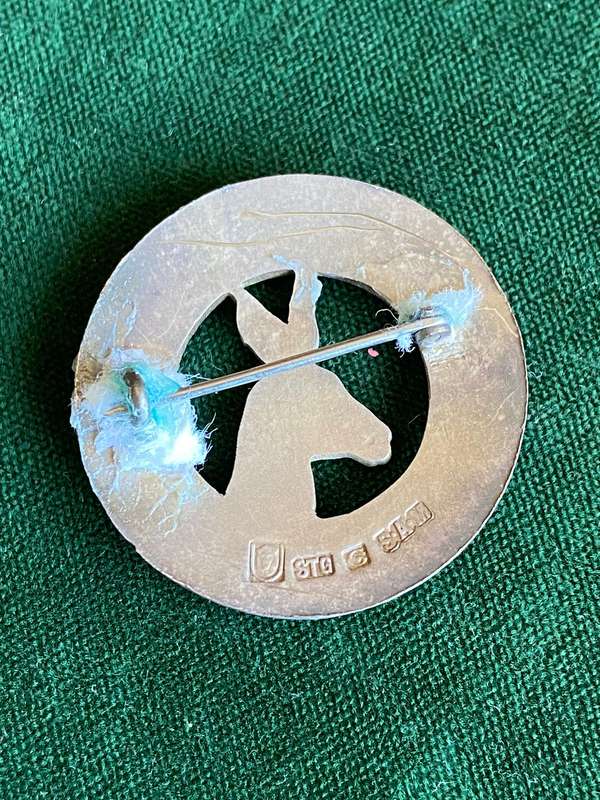 SA MILITARY NURSING SERVICES STERLING LISTER CAP BADGE-WORN 1915-1939-RARE-STICK PIN INTACT