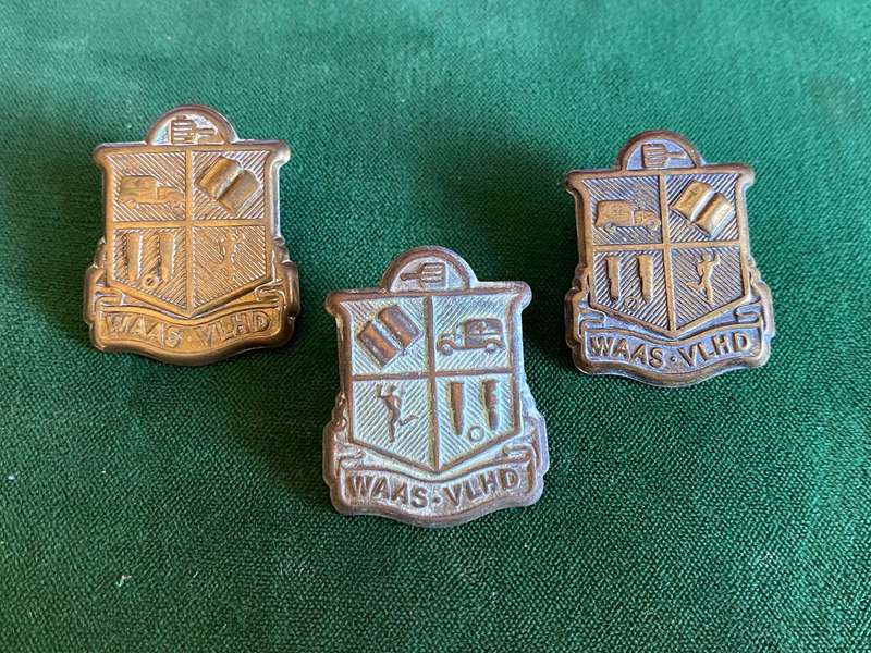 WOMANS AUXILIARY  ARMY SERVICES BRASS CAP AND COLLARS-WORN WW2-LUGS COMPLETE