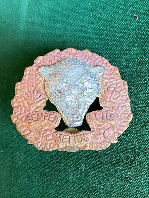 6 SA INFANTRY UNIT BI-METAL CAP BADGE-VOIDED-APPROVED IN 1986-2X SCREW LUGS