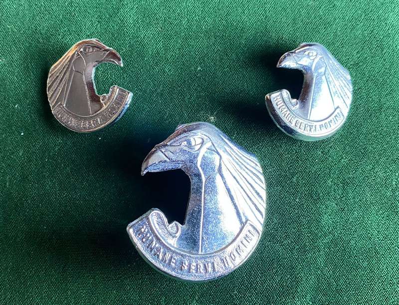 PERSONNEL SERVICES CORPS CHROMED CAP AND COLLARS-APPROVED IN 1980-LUGS + PINS INTACT