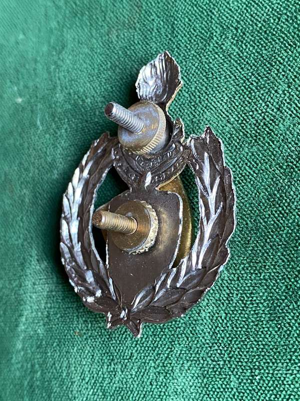 15 FIELD ENGINEER REGIMENT CAP BADGE- 2 X SCREW LUGS
