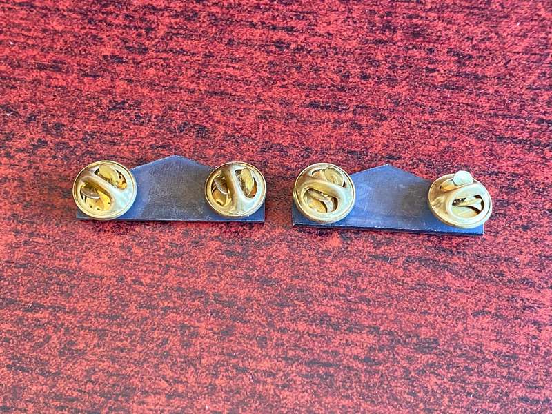 SWA MEDICAL CORPS-OXIDISED SILVER COLLAR BADGE PAIR-APPROVED IN 1982-THIS BADGE WAS WORN WITH THE FL
