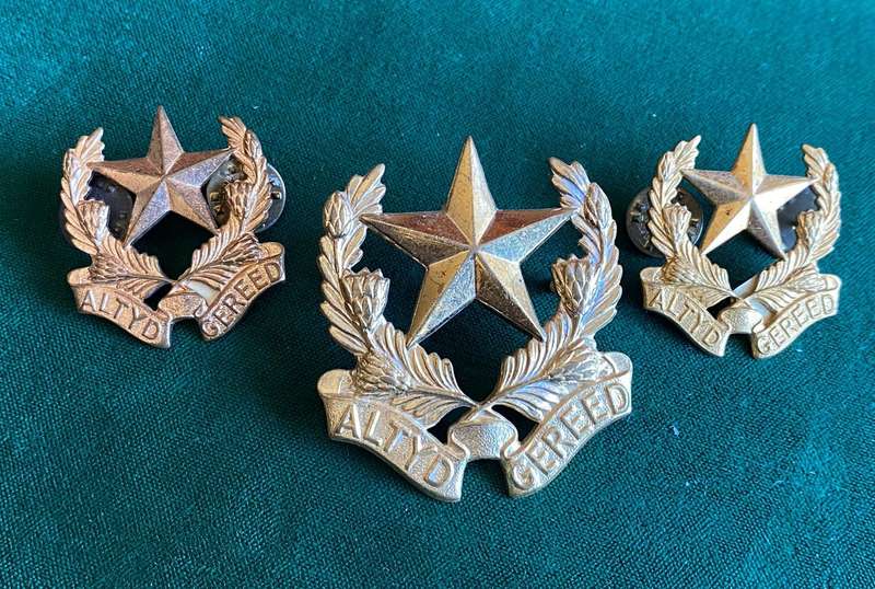 REGT. BOTHA ,GILDING METAL CAP AND COLLARS-WORN FROM 1962-LUGS+PINS INTACT