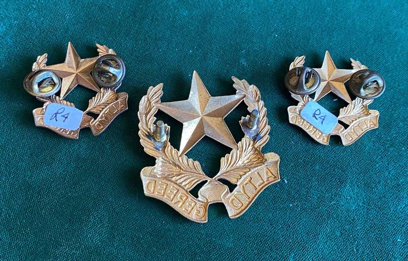 REGT. BOTHA ,GILDING METAL CAP AND COLLARS-WORN FROM 1962-LUGS+PINS INTACT