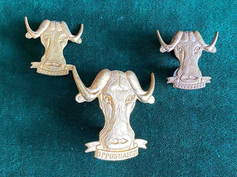 REGT. PORT NATAL BRASS BERET AND COLLARS-ISSUED 1971-LUGS + PINS INTACT