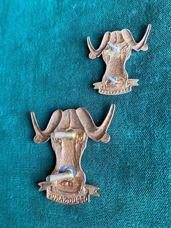 REGIMENT PORT NATAL BRASS BERET BADGE AND ONE COLLAR-ISSUED 1971-LUGS + PINS INTACT