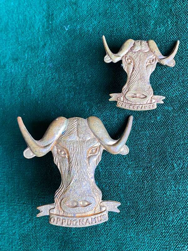 REGIMENT PORT NATAL BRASS BERET BADGE AND ONE COLLAR-ISSUED 1971-LUGS + PINS INTACT
