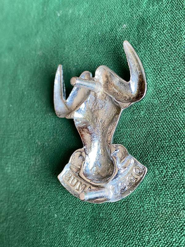 REGIMENT PORT NATAL CHROME CAP BADGE-WORN POST 1976- 2X LUGS