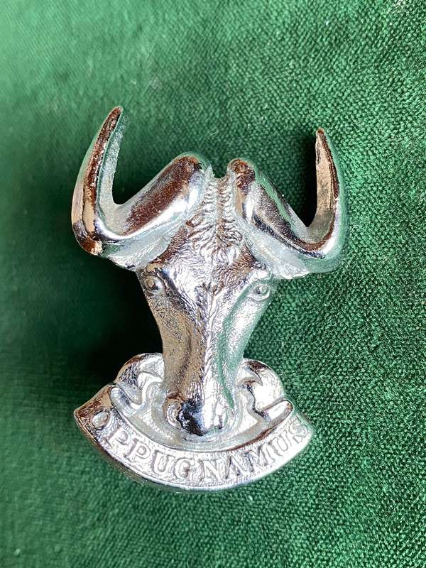 REGIMENT PORT NATAL CHROME CAP BADGE-WORN POST 1976- 2X LUGS