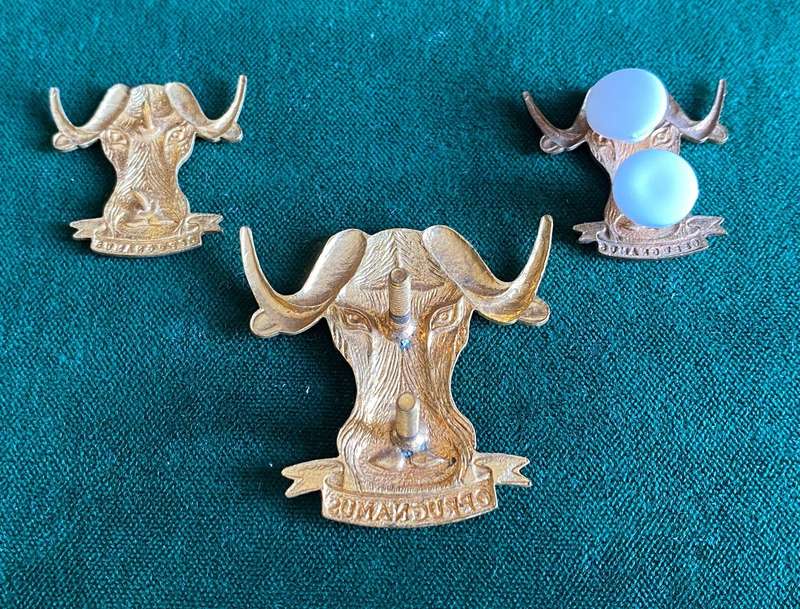 REGT. PORT NATAL BRASS BERET AND COLLARS-ISSUED 1971-LUGS + PINS INTACT