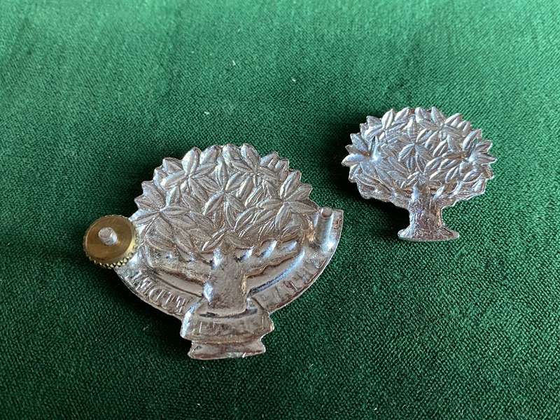 REGIMENT VRYSTAAT (FREE STATE) CHROME CAP AND ONE COLLAR-WORN POST 1976