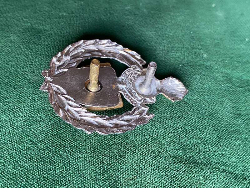 1 CONSTRUCTION REGIMENT CAP BADGE-APPROVED IN 1986-2 X SCREW LUGS