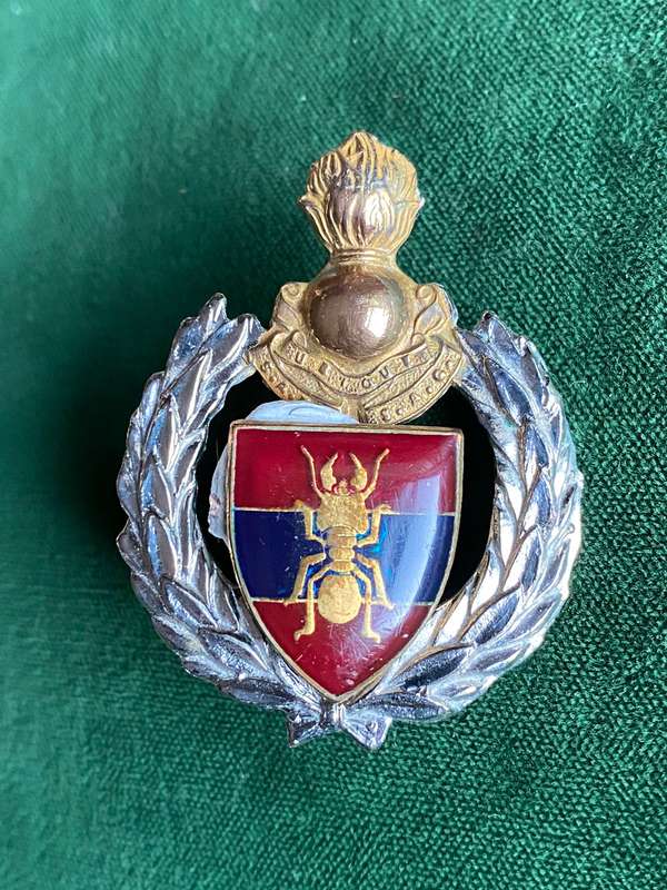 1 CONSTRUCTION REGIMENT CAP BADGE-APPROVED IN 1986-2 X SCREW LUGS