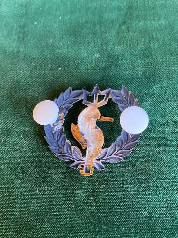 SA NAVY INDEPENDENT SHIPS AND AIR/SEA RESCUE FLOTILLA-BI/METAL,ONE PIECE BADGE-APPROVED IN 1984- 2 P