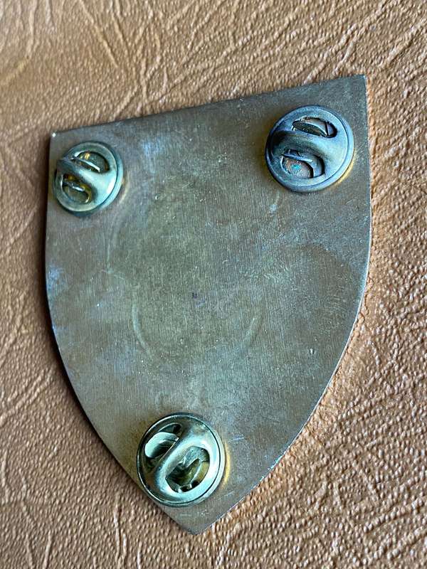 SWA GROOTFONTEIN COMMANDO FLASH-FULL SIZE-DARK GREEN VARIATION- 3 PINS