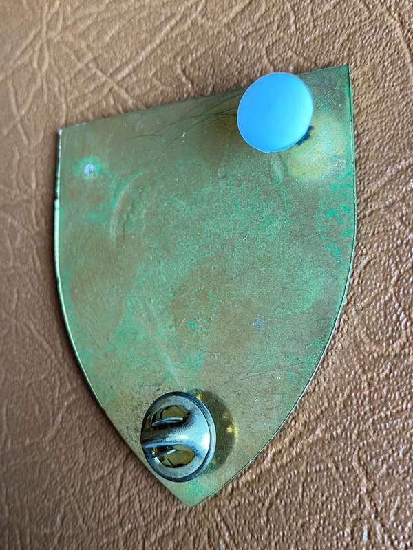 SWA GROOTFONTEIN COMMANDO FLASH-FULL SIZE-LIGHT GREEN VARIATION- 2 PINS