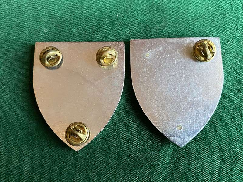 SWA SPECIALIST UNIT-FULL SIZE FLASH PAIR- 2 PINS MISSING
