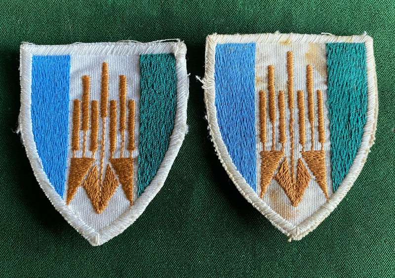 101 BATTALION-2ND PATTERN-CLOTH FLASH PAIR