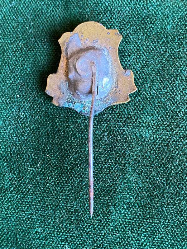 NATAL CARBINEERS ENAMEL,LAPEL BADGE