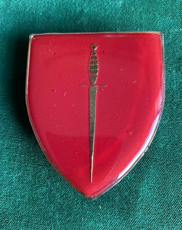 TRANSKEI SPECIAL FORCES-FLASH- 3 PINS