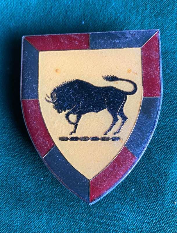 SA ARMY COLLEGE 3RD ISSUE FLASH- 3 PINS