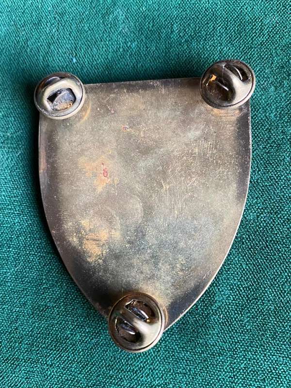 SA INFANTRY SCHOOL FLASH- 3 PINS