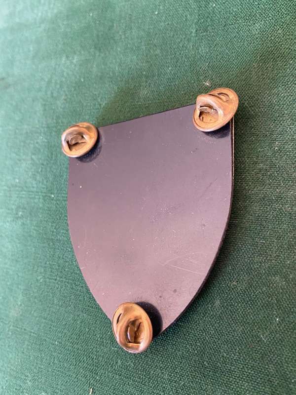 DANIE THERON COMBAT SCHOOL FLASH- 3 PINS