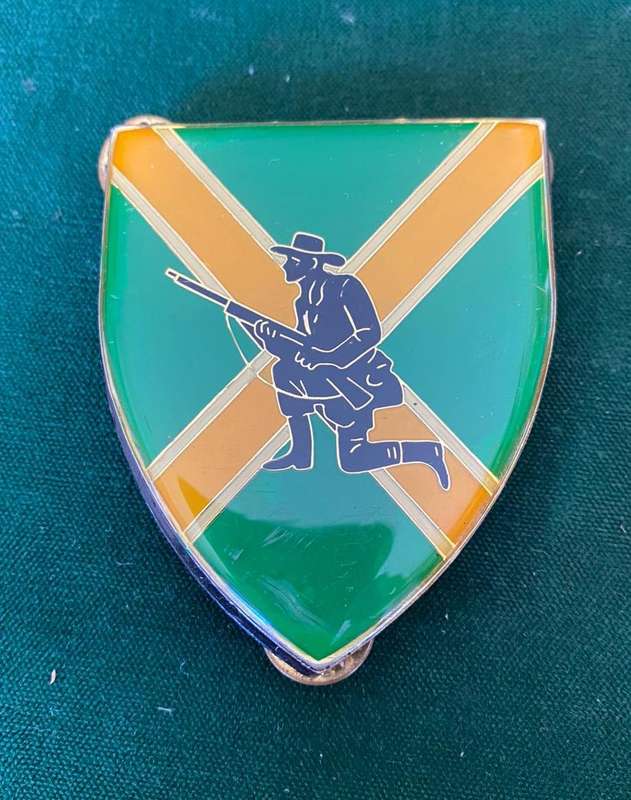 DANIE THERON COMBAT SCHOOL FLASH- 3 PINS
