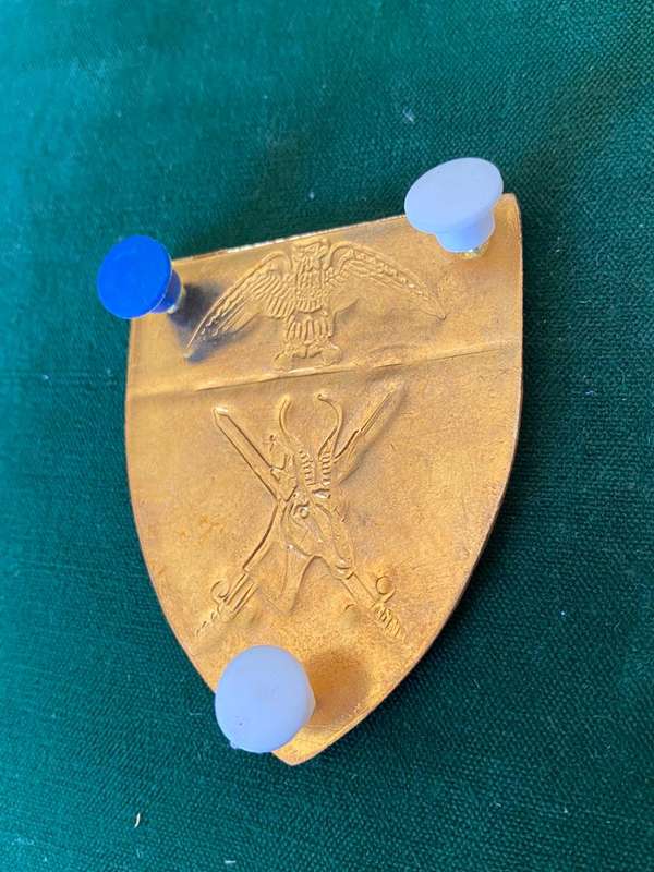GAUTENG COMMAND HQ FLASH- 3 PINS
