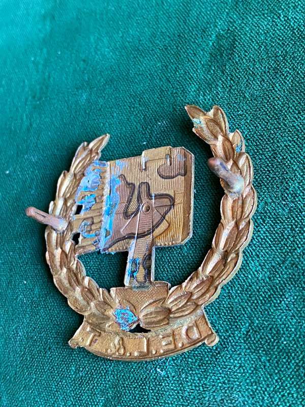 DEFENCE ELECTRIC LIGHTS AND TELEPHONES ARM BADGE-WORN BY CAPE FORTRESS ENGINEERS AROUND 1922-2 LUGS