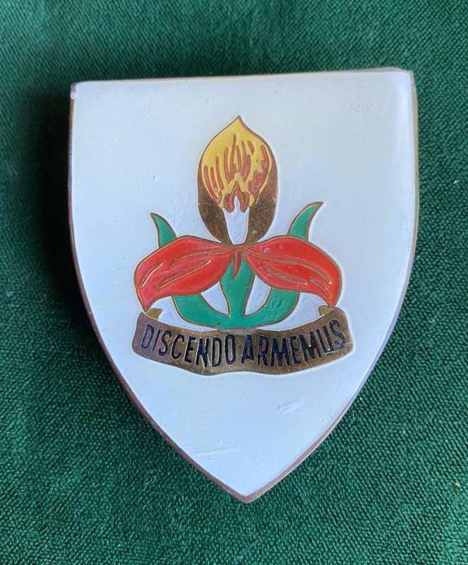 SA MILITARY ACADEMY,WHITE CENTRE FLASH- 3 PINS