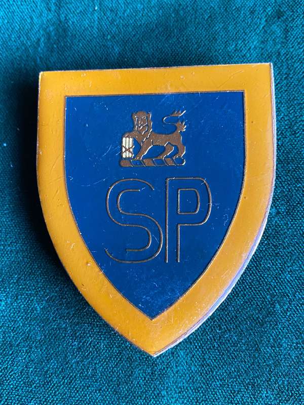 STATE PRESIDENTS GUARD-1ST ISSUE FLASH- 3 PINS