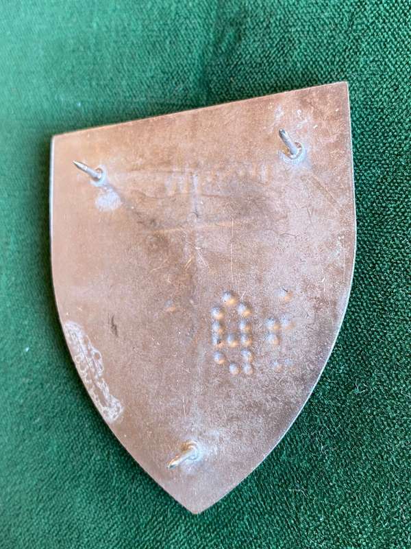 2 SIGNAL REGIMENT FLASH- 3 PINS