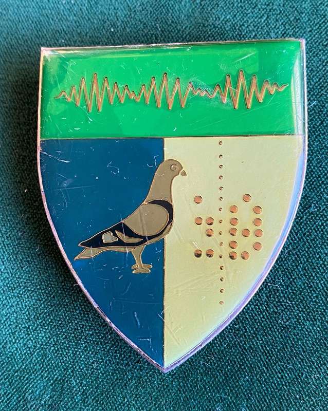 2 SIGNAL REGIMENT FLASH-3 PINS
