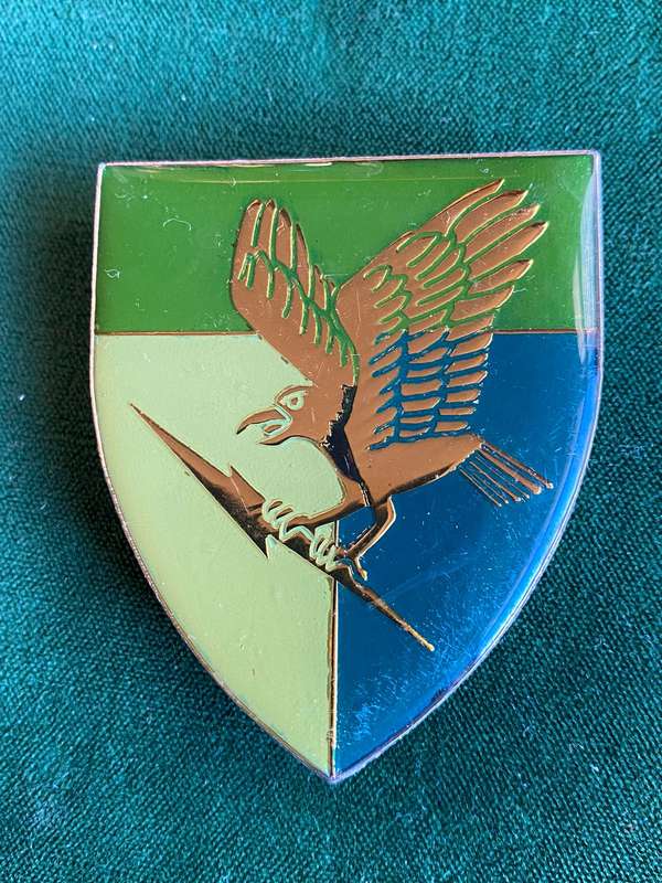 5 SIGNAL REGIMENT FLASH- 3 PINS