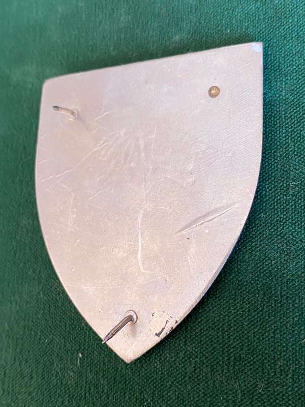 REGIMENT PORT NATAL FLASH - 2 PINS
