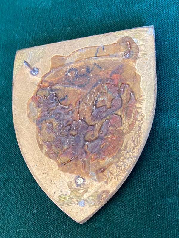 REGIMENT CHRISTIAAN BEYERS-BLACK EARS TYPE-FLASH-ONE PIN