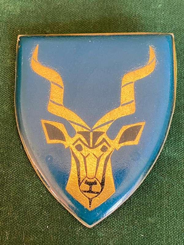 REGIMENT CHRISTIAAN BEYERS-BLACK EARS TYPE-FLASH-ONE PIN