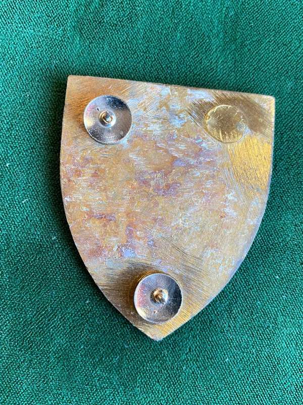 1 SA INFANTRY BN FLASH-PYELLOW TYPE-1ST ISSUE- 2 PINS(REPLACED)