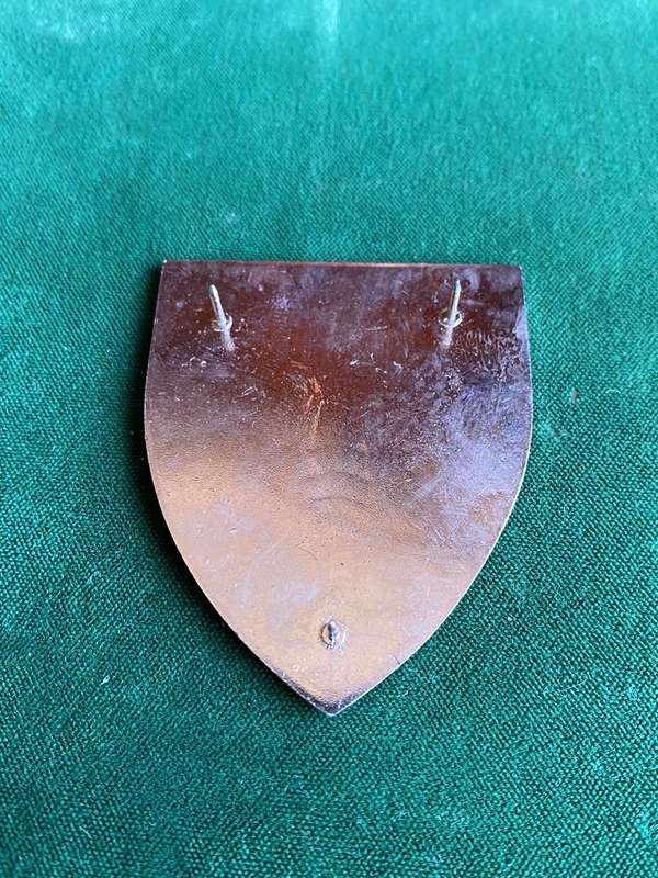 REGIMENT OVERVAAL FLASH- 3 PINS