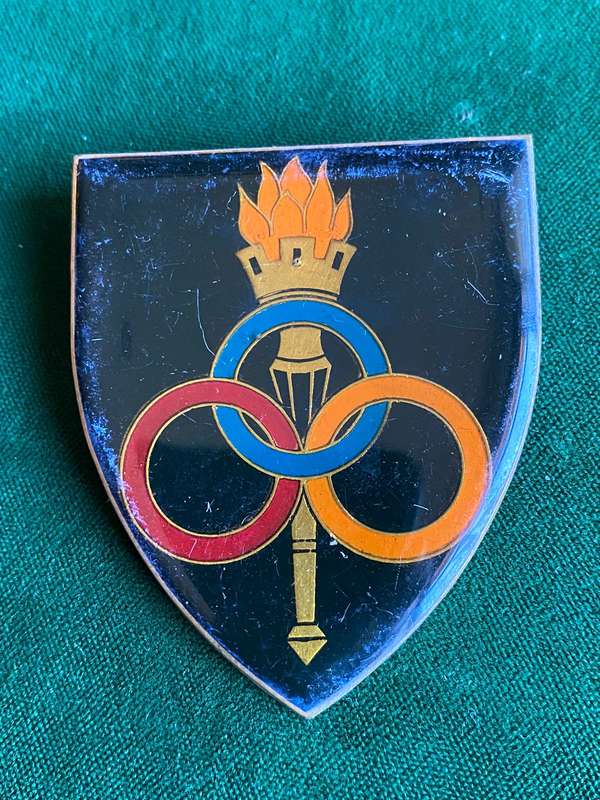 SERVICES SCHOOL FLASH- 2 PINS