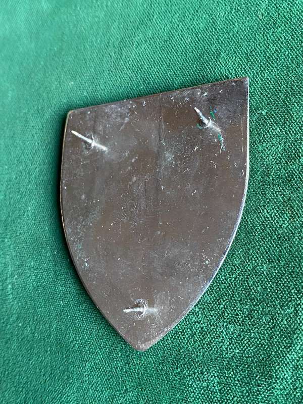 BRONKHORSTSPRUIT COMMANDO FLASH- 3 PINS