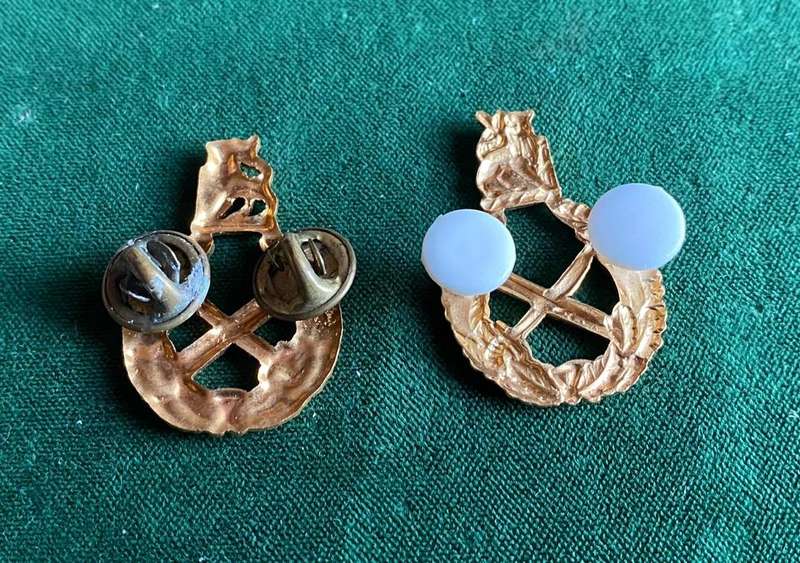 GENERAL OFFICERS GILT LAPEL MESS DRESS PAIR- PINS INTACT
