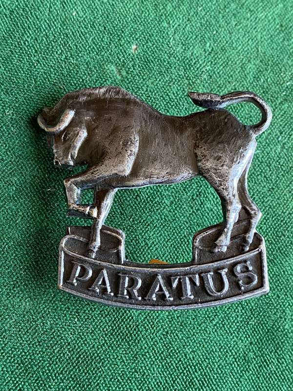 SA ARMY COLLEGE GREY METAL CAP BADGE- APPROVED IN 1987- 2X SCREW LUGS