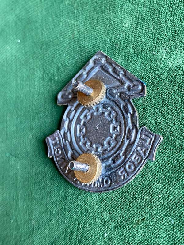 SA ARMY LOGISTIC COMMAND HQ UNIT CAP BADGE-APPROVED IN 1986- 2X SCREW LUGS