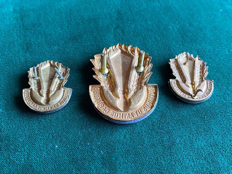 SA CATERING CORPS,BI/METAL CAP AND COLLARS-APPROVED IN 1978-LUGS + PINS COMPLETE