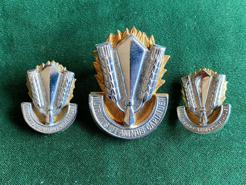 SA CATERING CORPS,BI/METAL CAP AND COLLARS-APPROVED IN 1978-LUGS + PINS COMPLETE