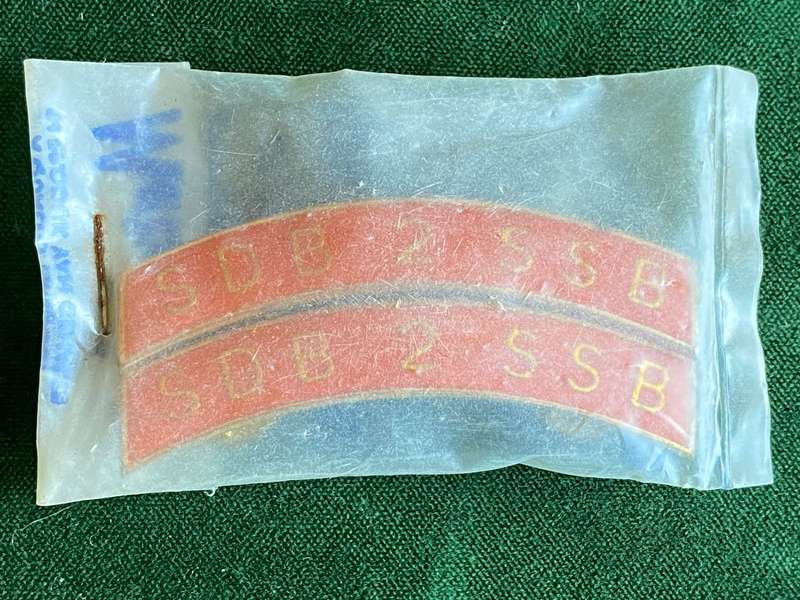 2 SPECIAL SERVICE BATTALION METAL SHOULDER TITLE PAIR -STILL SEALED IN METAL ART,PLASTIC ENVELOPE-PI